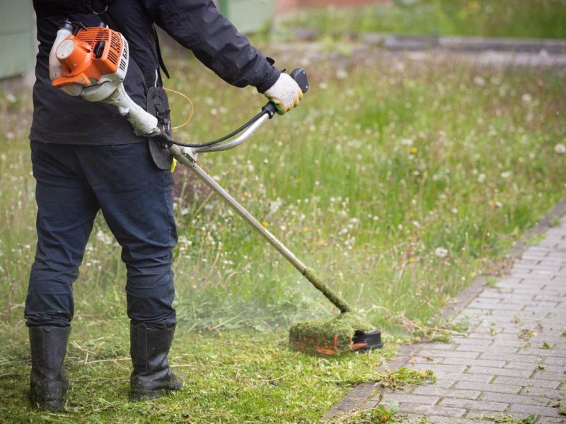 thiamis-kopi-xorta-01